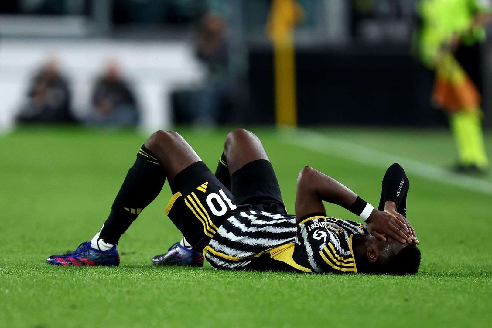 2025 赛季回顾：大谷翔平在夺冠游行中由于高举爱犬 Dekopin 再次引发全球热议